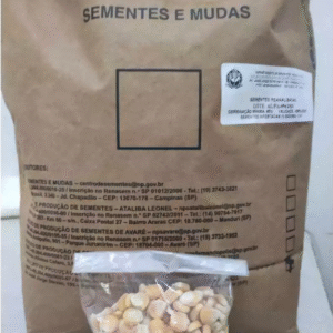 Sementes de Milho Comum Planta