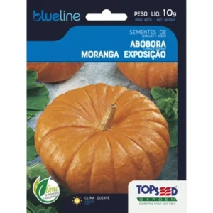 ABÓBORA MORANGA EXPOSIÇÃO 10 GRAMA SEMENTES