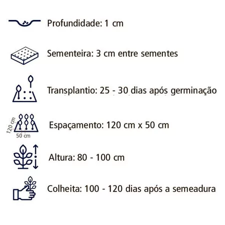Sementes de Pimenta Bode Amarela 2,5 gramas Topseed Blueline - Imagem 2