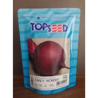 Sementes de Beterraba Early Wonder Super Tall Top Pacote Com 50 Gramas