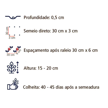 Rucula Folha Larga sementes de Rucula 10 grama 5.000 sementes - Imagem 2