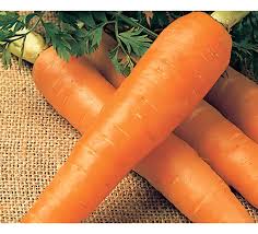 Semente de Cenoura Brasília Alta Seleção Pacote Com 50 Gramas