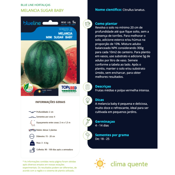 Sementes de Melancia Mini sementes 5 grama Mini Melancia - Imagem 3